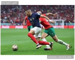 CBA：山东男篮主场大胜宁波